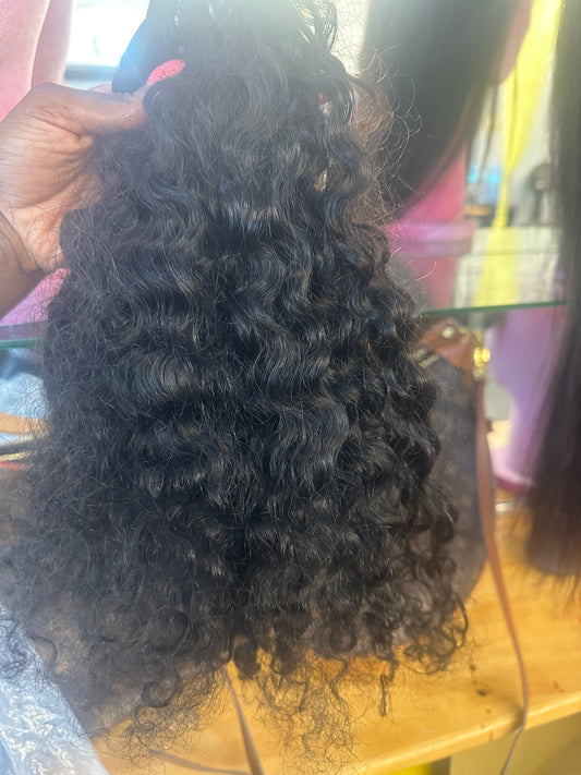 Burmese Curly